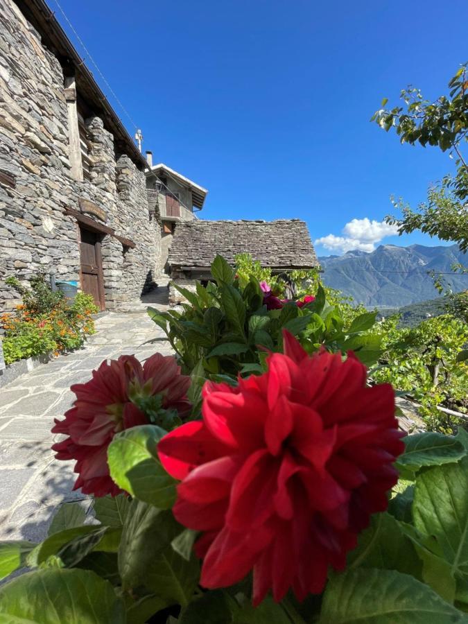Casa Vacanze La Carbunera Villa Domodossola Luaran gambar